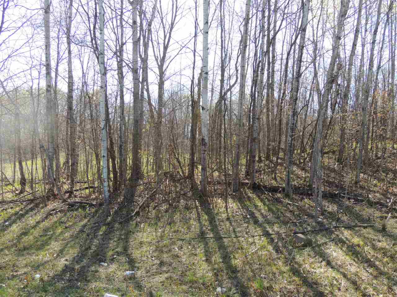 26 Old 26 Road Antigo, WI 54409 - Photo 1 of 1