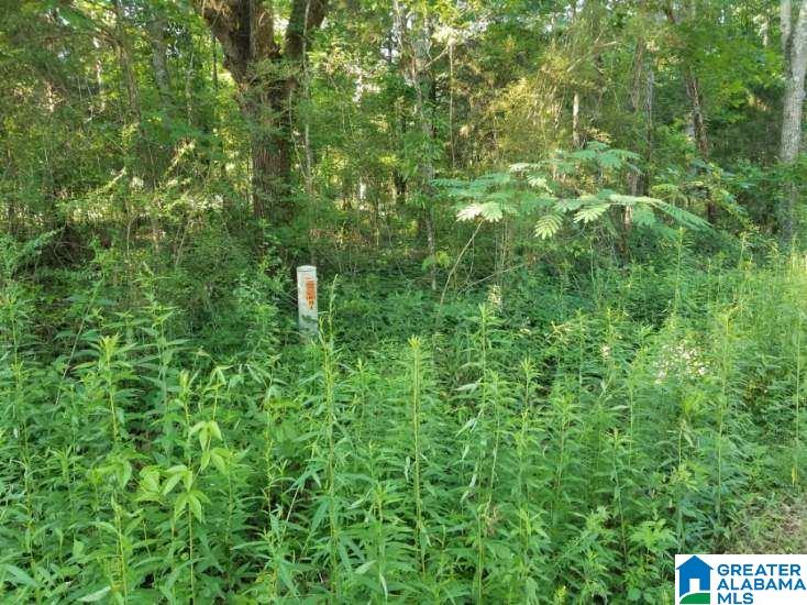 270 Oxford Road Lincoln, AL 35096 - Photo 21 of 21