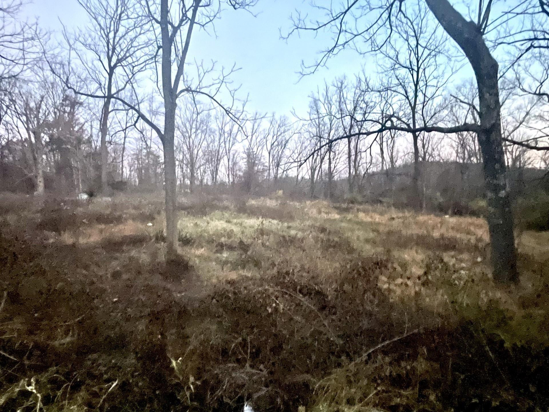 13066 Rte 9W New Baltimore, NY 12192 - Photo 4 of 10 Photo 4