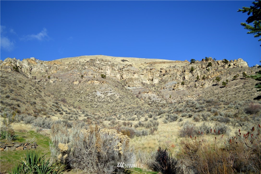 1130 Pitcher Canyon Road Wenatchee, WA 98801 - Photo 6 of 20 Gallery Image 6