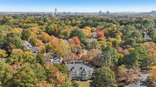 a view of a city with tall trees
