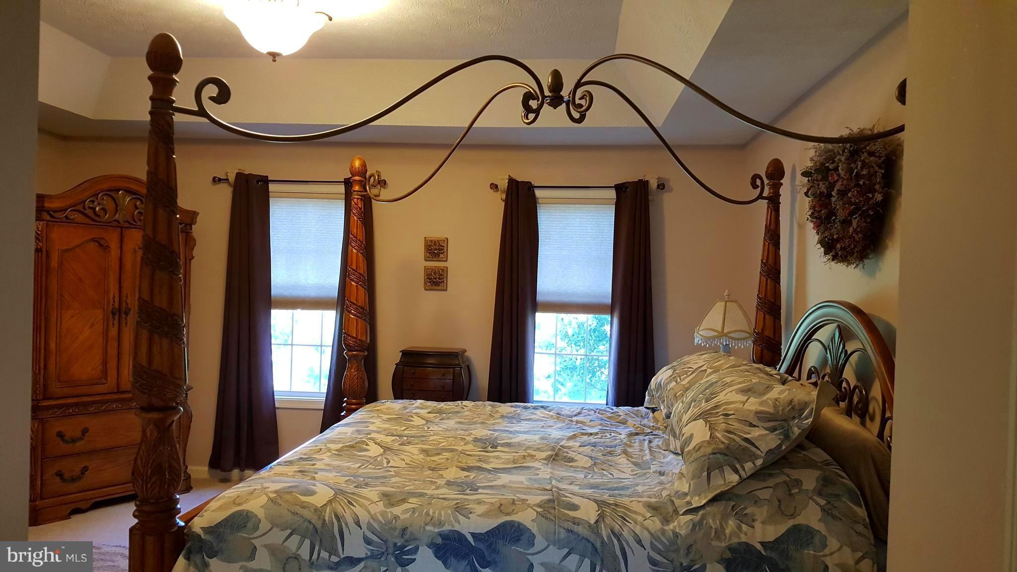 36 Bennys Beach Road Front Royal, VA 22630 - Photo 12 of 28 Master with Tray Ceilings