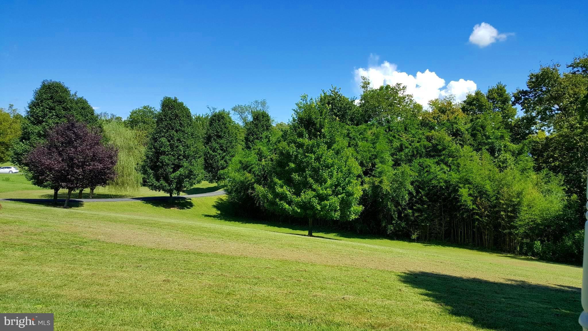 36 Bennys Beach Road Front Royal, VA 22630 - Photo 27 of 28 Beautiful front yard that's private