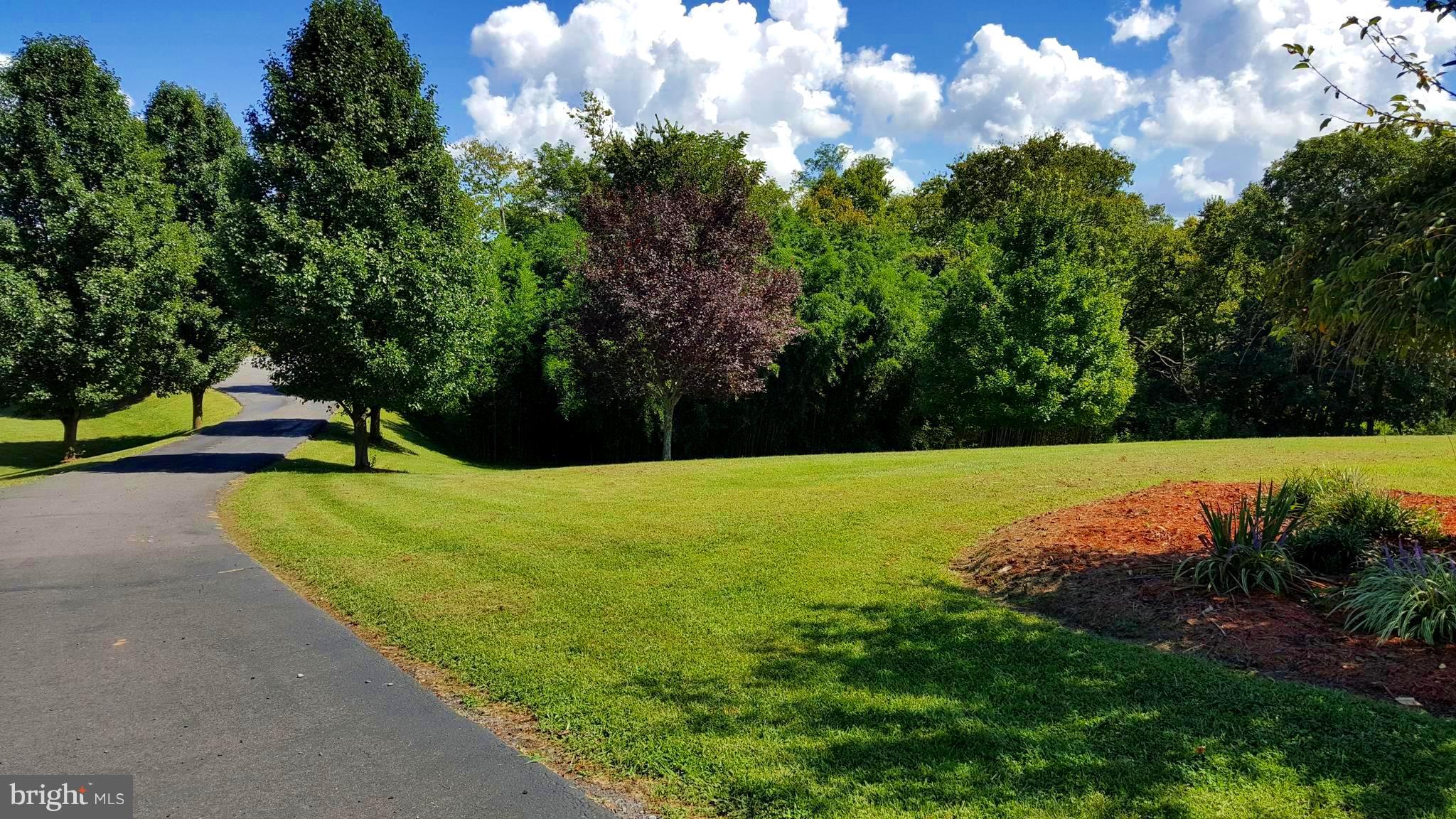 36 Bennys Beach Road Front Royal, VA 22630 - Photo 6 of 28 Paved Driveway and mature landscaped front yard