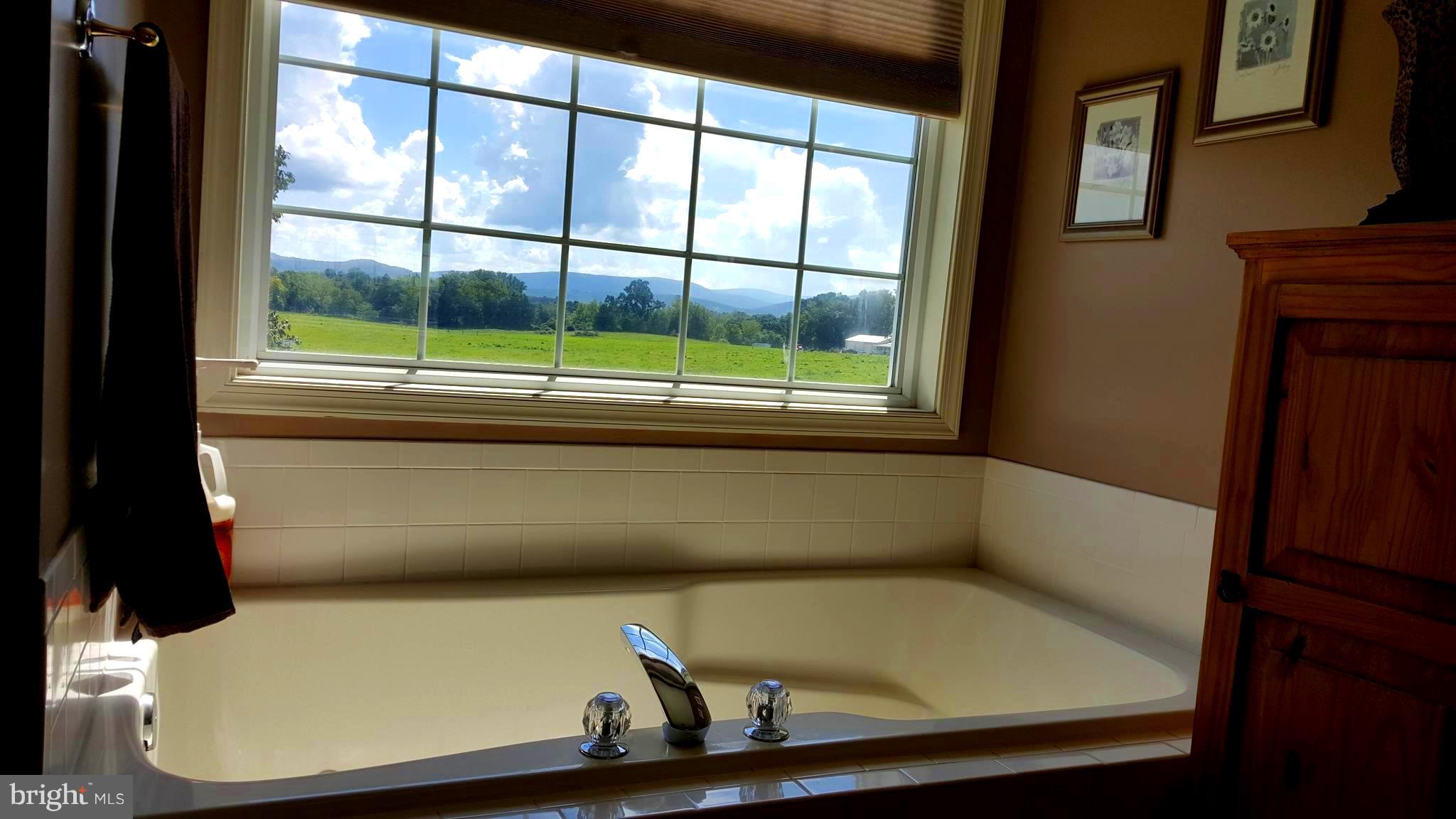 36 Bennys Beach Road Front Royal, VA 22630 - Photo 7 of 28 View in jacuzzi