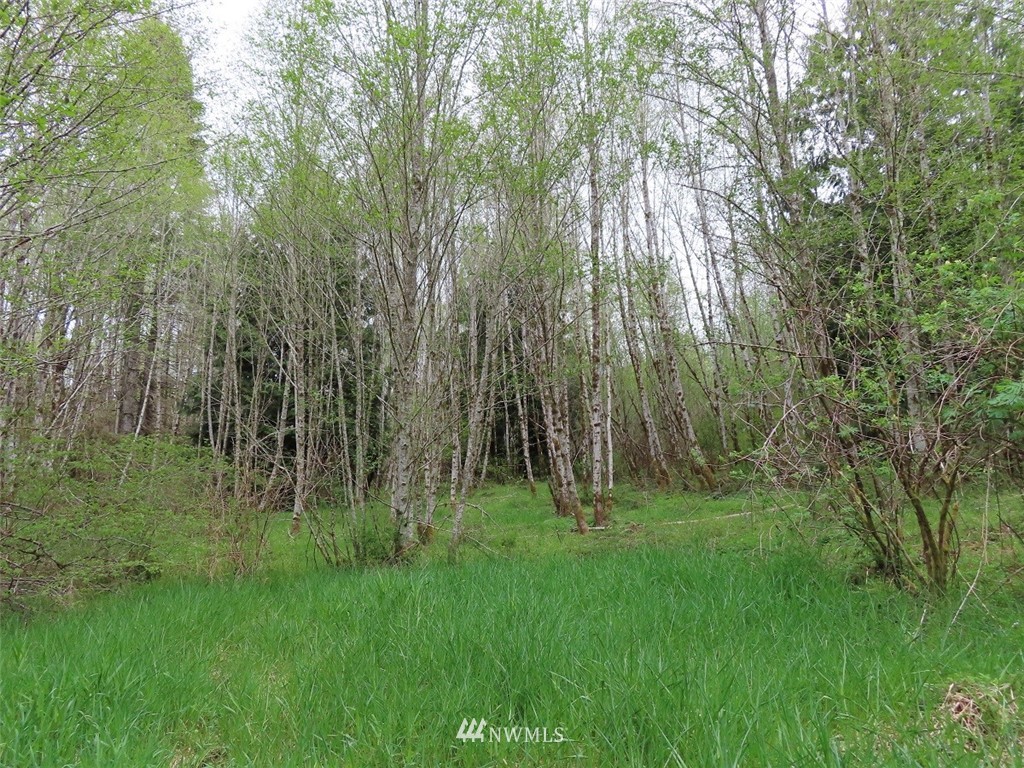-off Independence Road Rochester, WA 98579 - Photo 2 of 19
