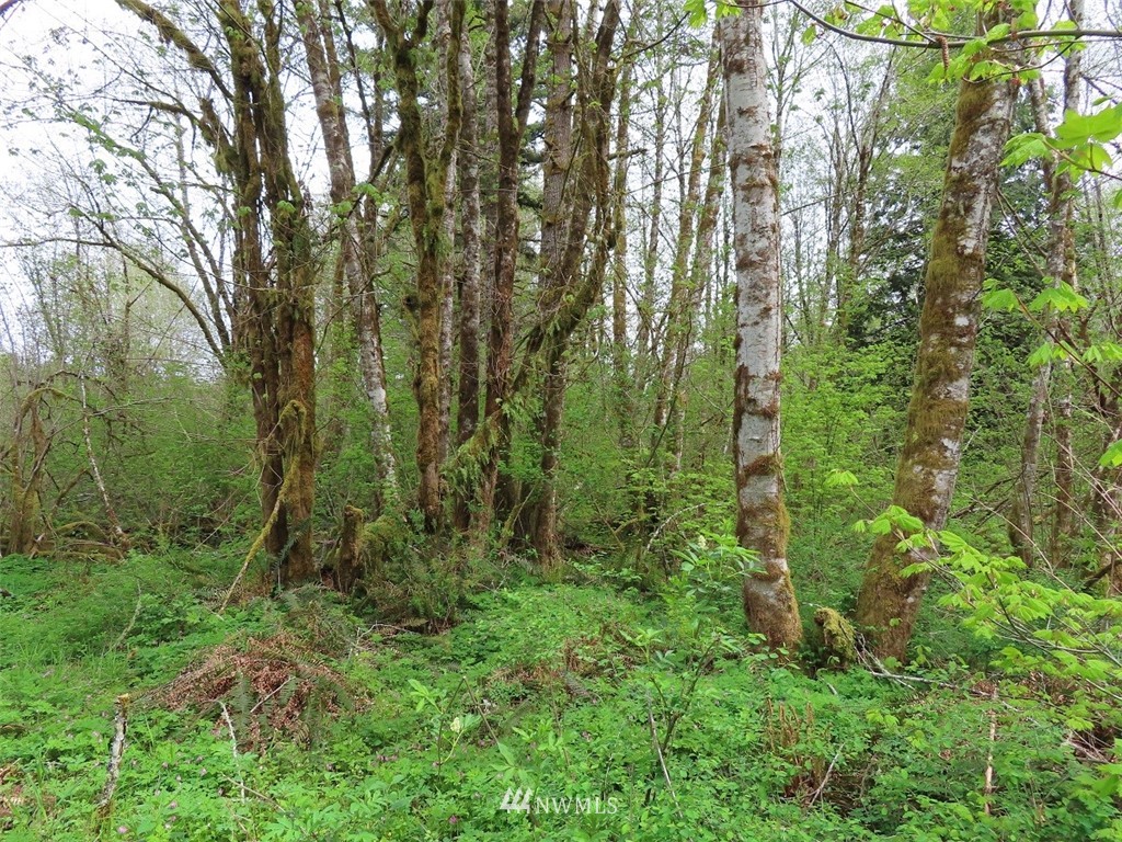 -off Independence Road Rochester, WA 98579 - Photo 12 of 19