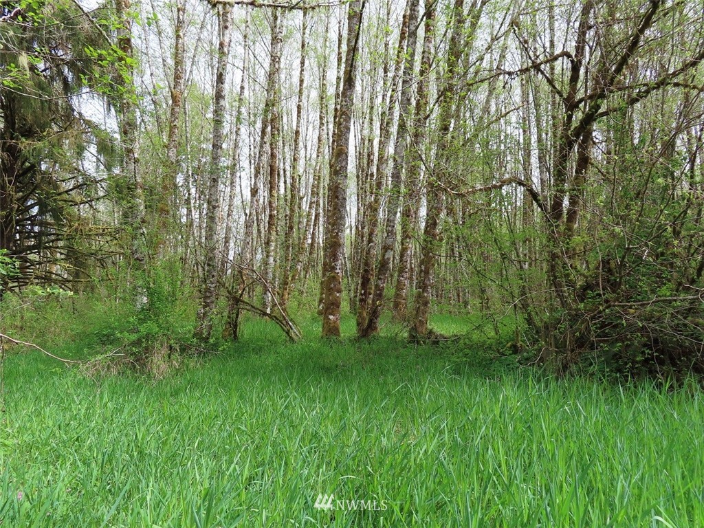 -off Independence Road Rochester, WA 98579 - Photo 13 of 19