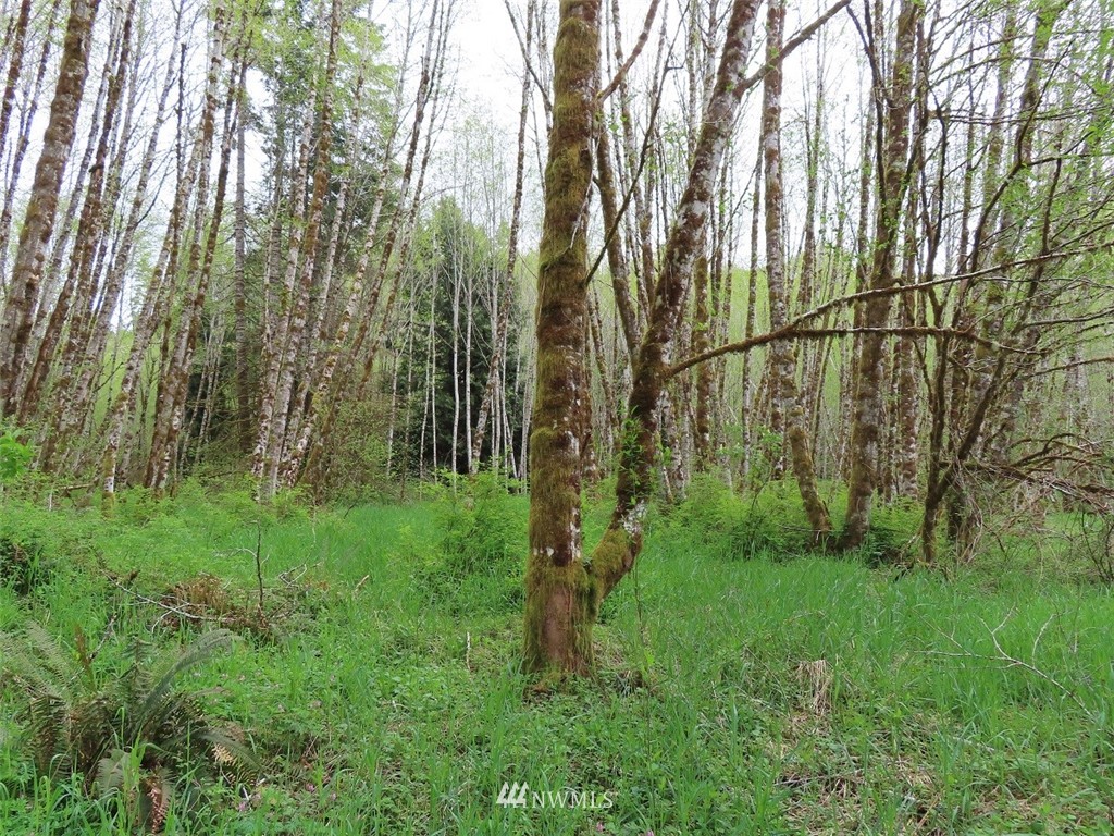 -off Independence Road Rochester, WA 98579 - Photo 14 of 19