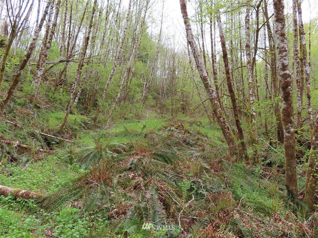 -off Independence Road Rochester, WA 98579 - Photo 19 of 19