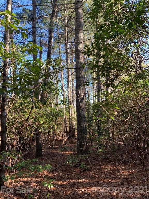 18 R Hawkins Hollow Road, Unit 18R Pisgah Forest, NC 28768 - Photo 3 of 14 Gallery Image 3