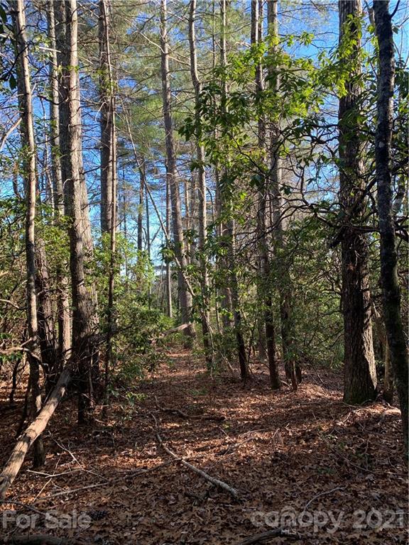 18 R Hawkins Hollow Road, Unit 18R Pisgah Forest, NC 28768 - Photo 4 of 14 Gallery Image 4