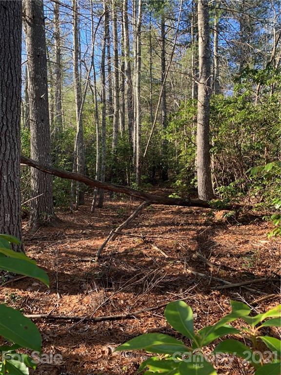 18 R Hawkins Hollow Road, Unit 18R Pisgah Forest, NC 28768 - Photo 5 of 14 Gallery Image 5