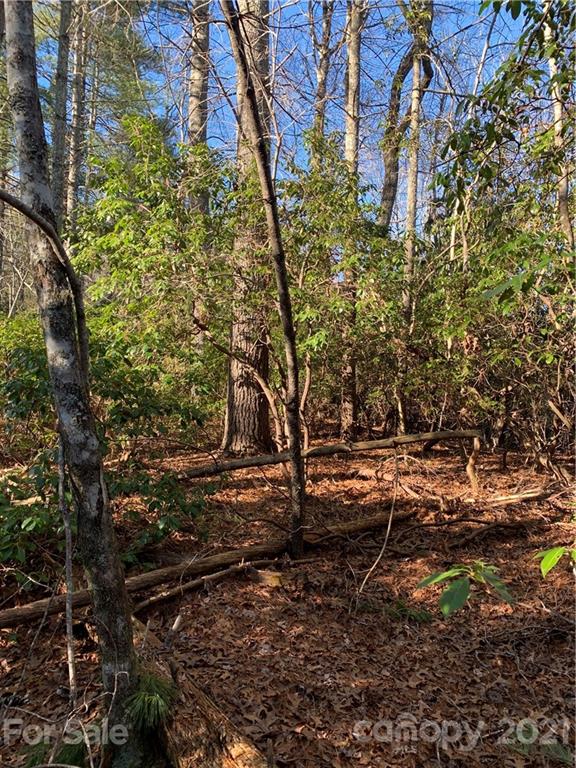18 R Hawkins Hollow Road, Unit 18R Pisgah Forest, NC 28768 - Photo 6 of 14 Gallery Image 6