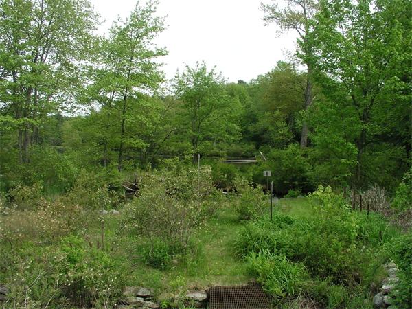 13 River Road Templeton, MA 01436 - Photo 4 of 16 a view of a lush green forest