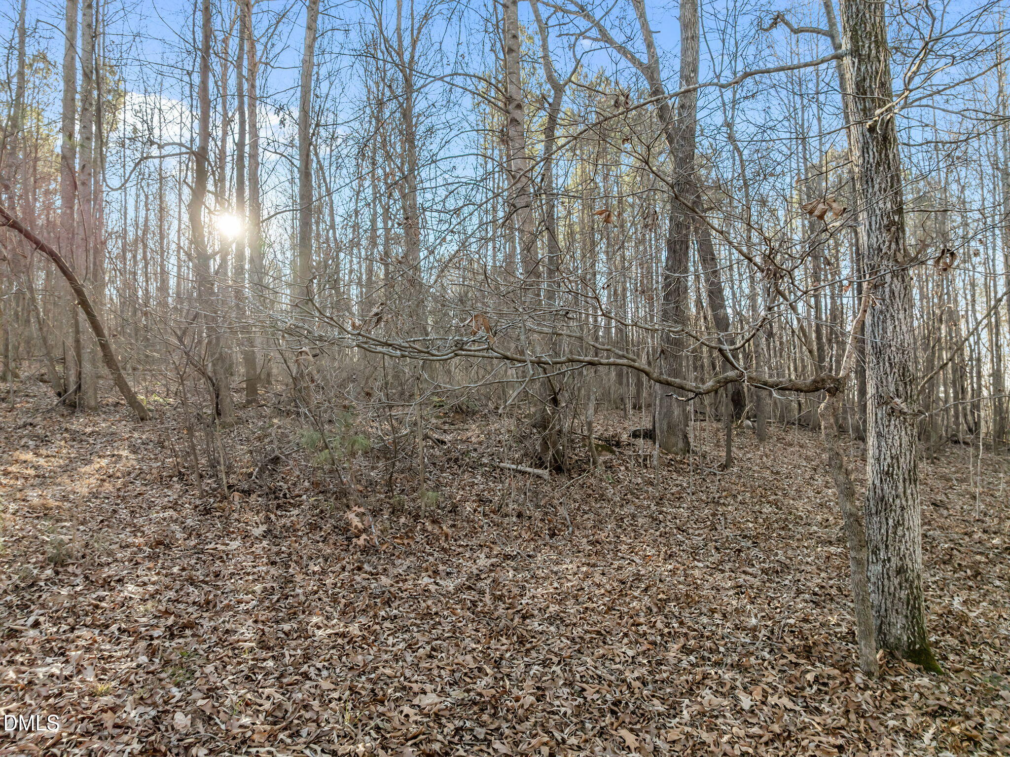 0 Silk Hope Gum Spring Road Pittsboro, NC 27312 - Photo 10 of 11 a view of a yard with large trees