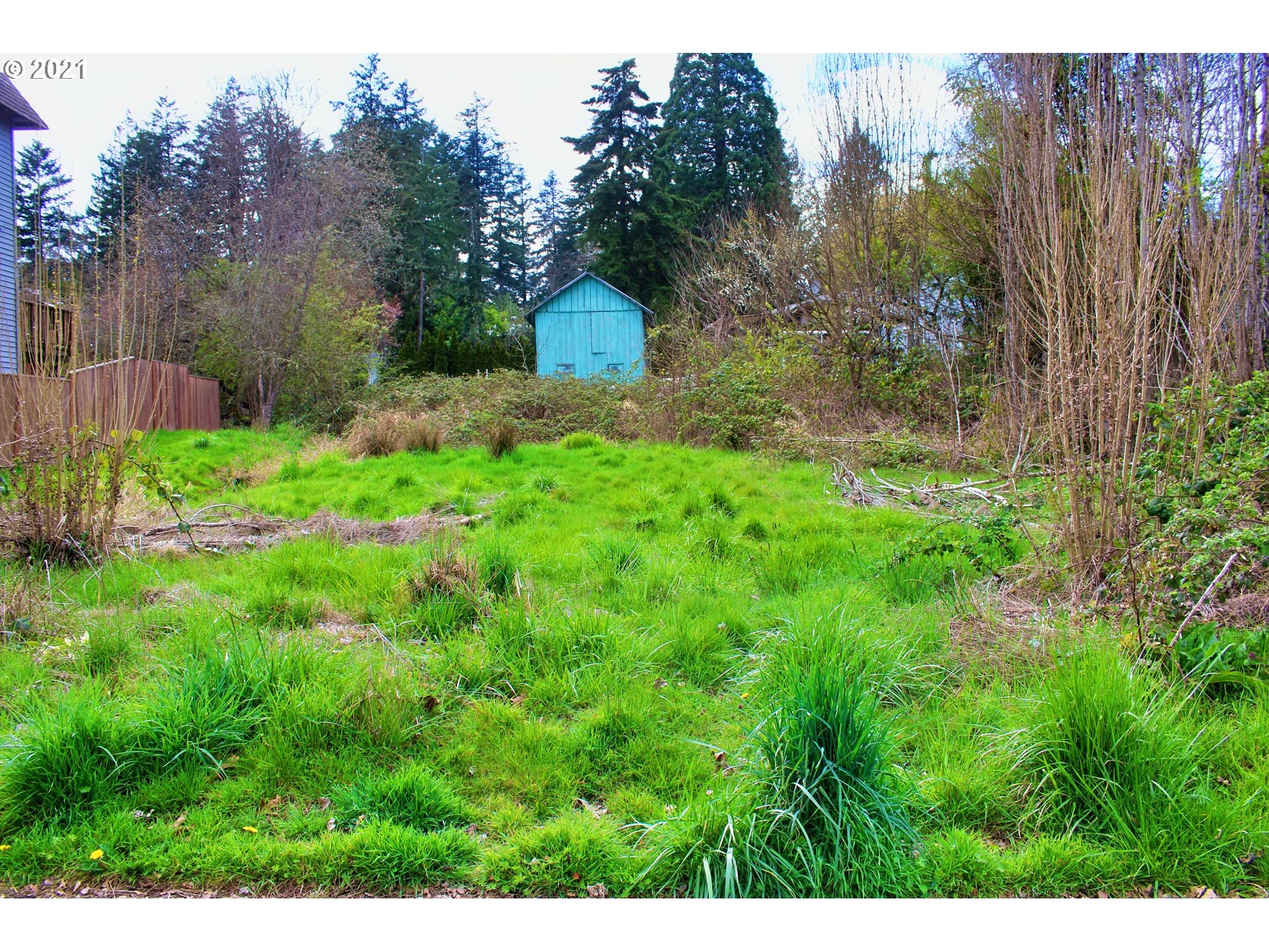 4925 Southwest 153rd Avenue Beaverton, OR 97007 - Photo 1 of 7 a view of a back yard