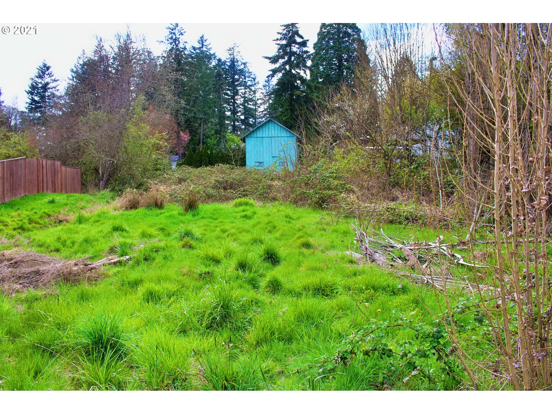 4925 Southwest 153rd Avenue Beaverton, OR 97007 - Photo 4 of 7 a backyard of a house with lots of green space