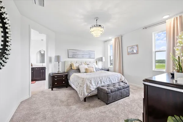 a bedroom with a bed and a chandelier
