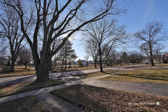 a view of a yard next to a house