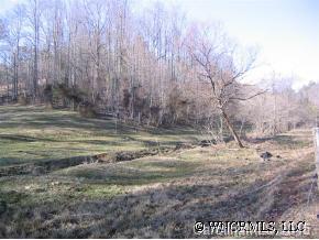 7777 North Long Branch Road Marshall, NC 28753 - Photo 3 of 5 a view of a dry yard