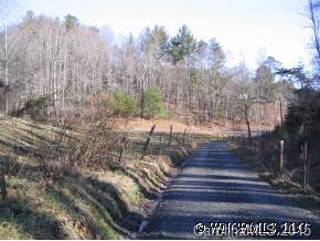 7777 North Long Branch Road Marshall, NC 28753 - Photo 4 of 5 a view of yard with tree in front