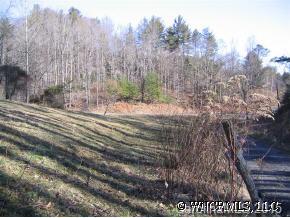 7777 North Long Branch Road Marshall, NC 28753 - Photo 5 of 5 a view of a yard with trees in the background