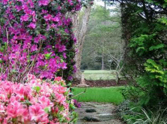 112 Dewitt Circle Daphne, AL 36526 - Photo 23 of 28 year round blooms
