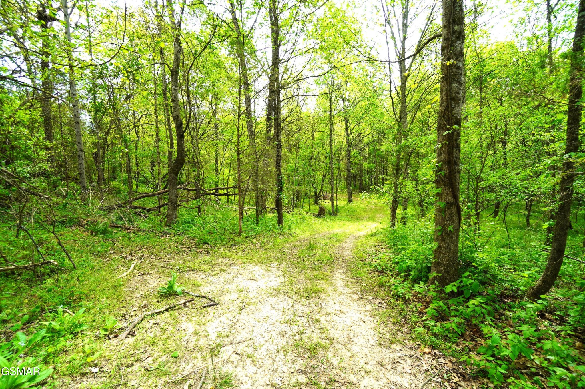 19 Pleasant View Cemetery Road New Market, TN 37820 - Photo 18 of 26 Gallery Image 18