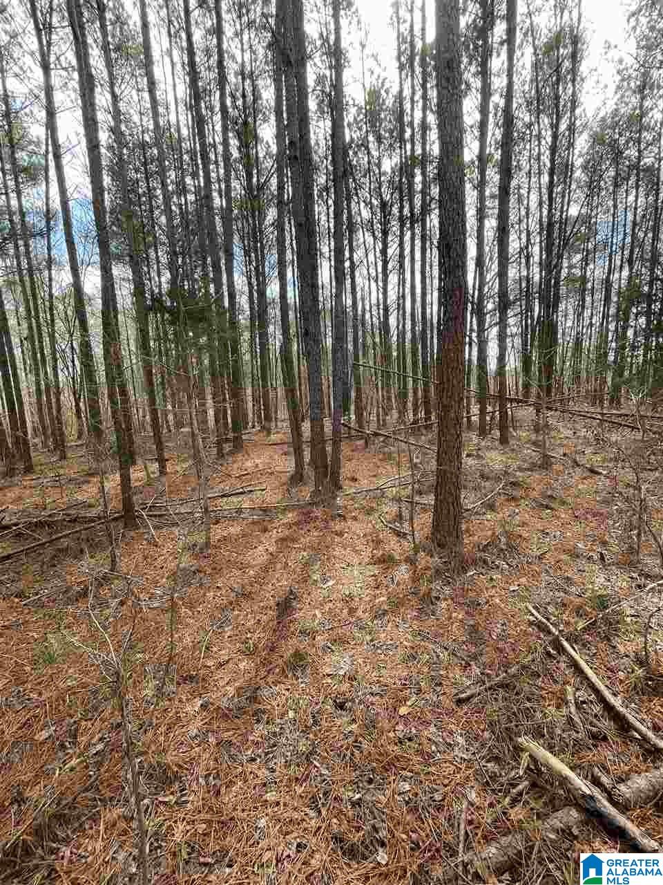 3396 Woodruff Mill Road, Unit 6 Adamsville, AL 35005 - Photo 5 of 5