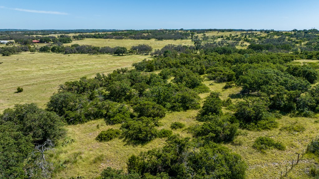 315 Rieger Road Harper, TX 78631 - Photo 19 of 30