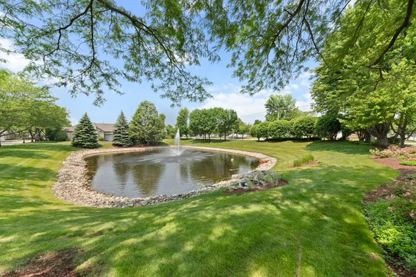 a view of a swimming pool with a yard