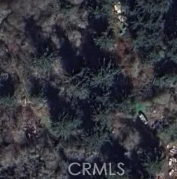 a view of a dry yard