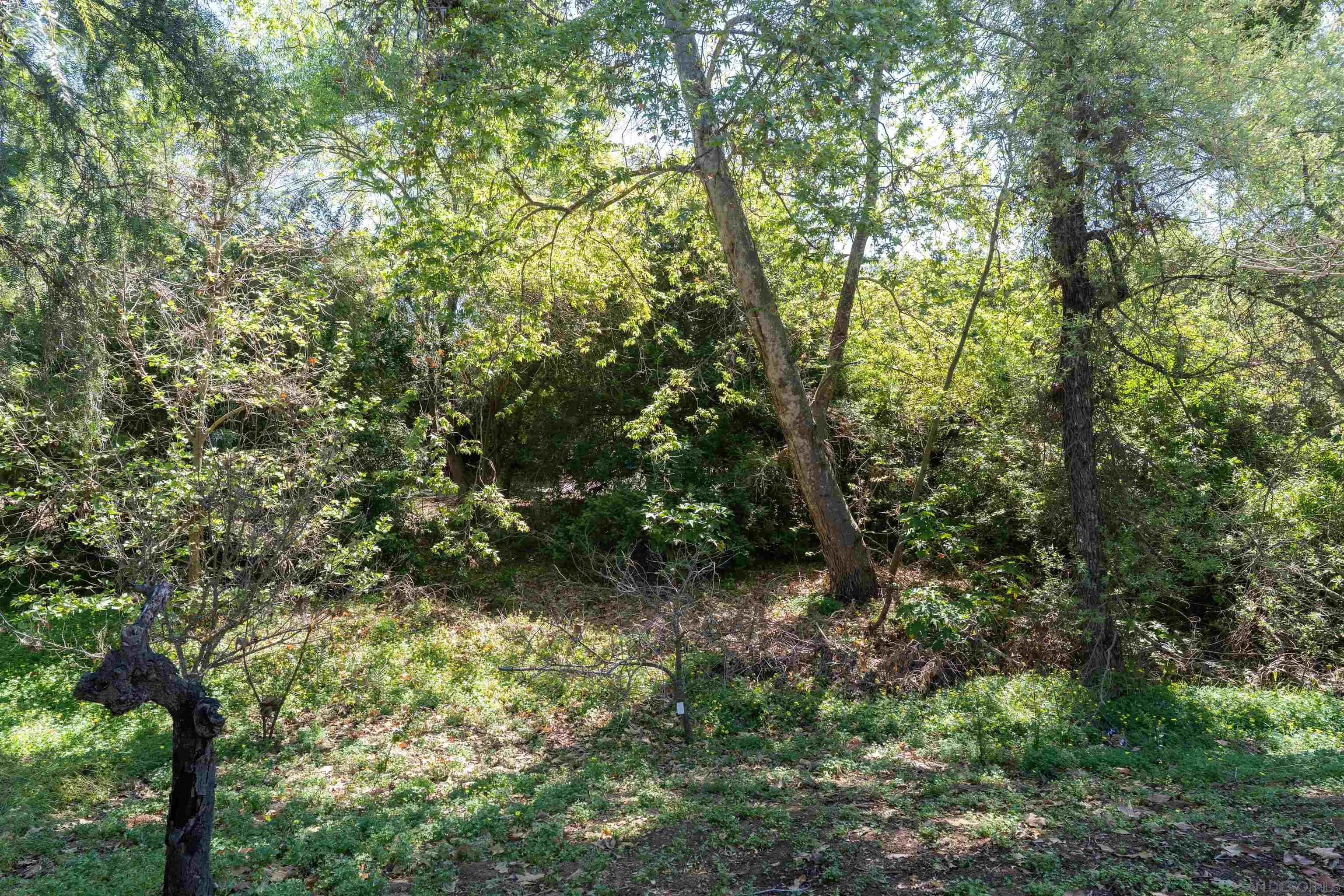 1027 Pepper Tree Lane Fallbrook, CA 92028 - Photo 18 of 37