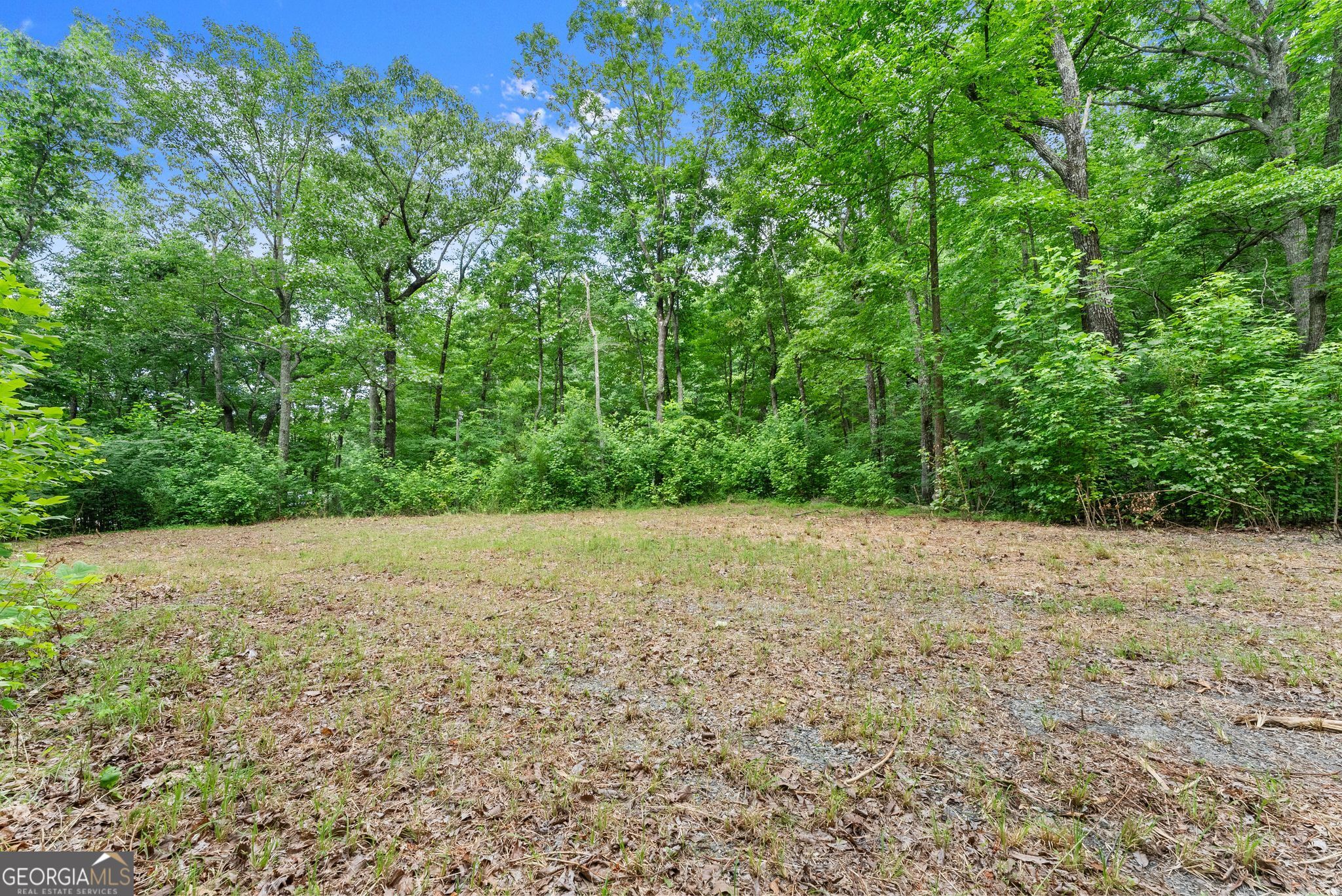 0 Wauka Ridge Road Clermont, GA 30527 - Photo 10 of 32