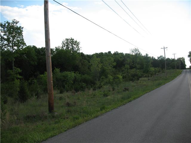 0 Holly Grove Road Lascassas, TN 37130 - Photo 2 of 10 Diamond in the rough