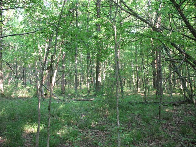 0 Holly Grove Road Lascassas, TN 37130 - Photo 7 of 10 Another great building site