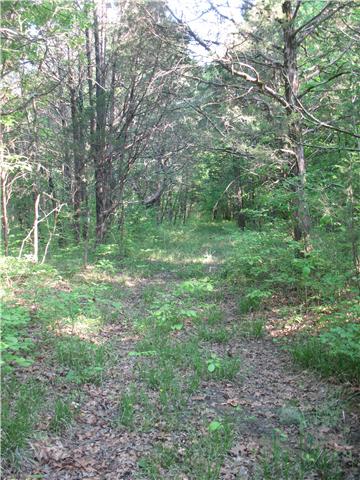0 Holly Grove Road Lascassas, TN 37130 - Photo 8 of 10 Gallery Image 8