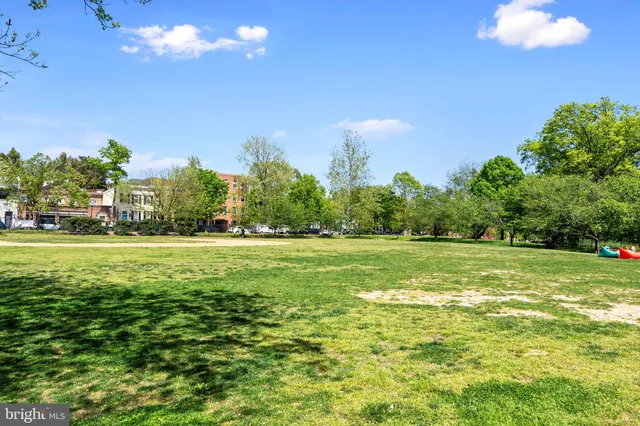 a view of a chair and table in backyard
