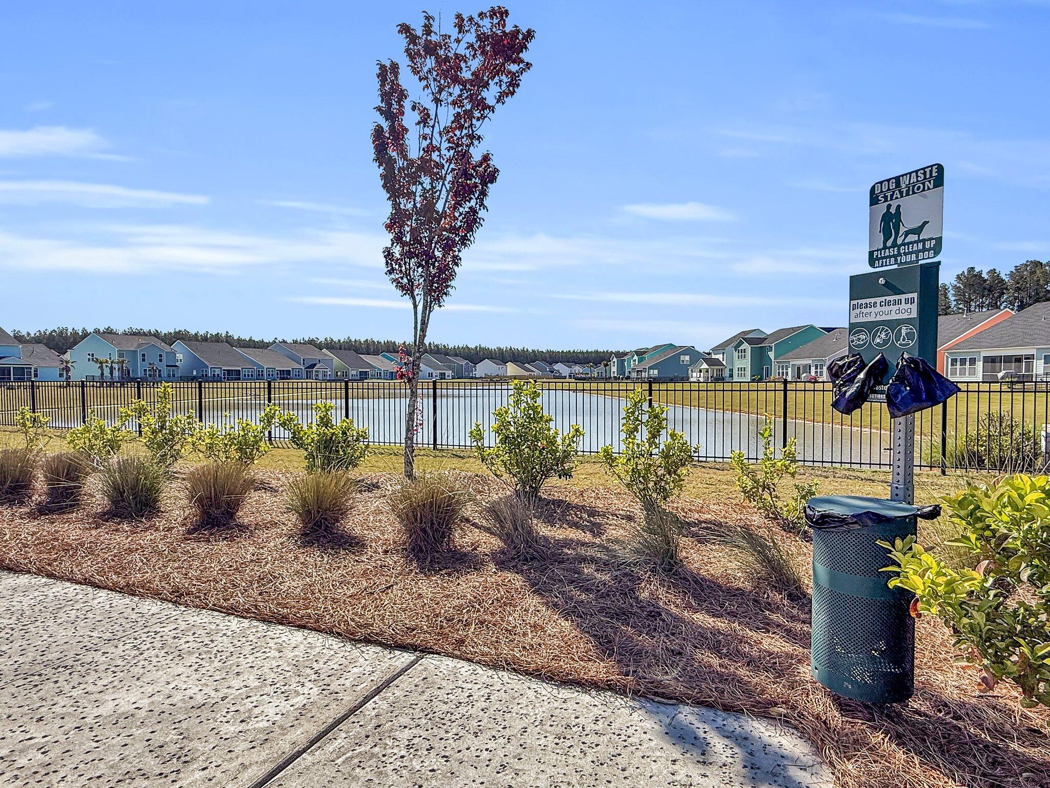 1541 Homecoming Boulevard Ravenel, SC 29470 - Photo 54 of 68 CREM - Homecoming - amenities-11