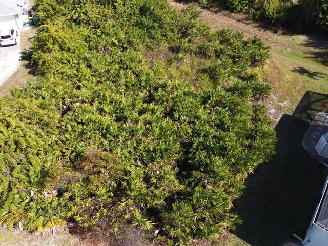 a view of a tree with a yard
