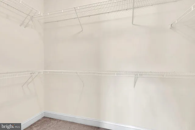 a bathroom with a double vanity sink mirror and shower
