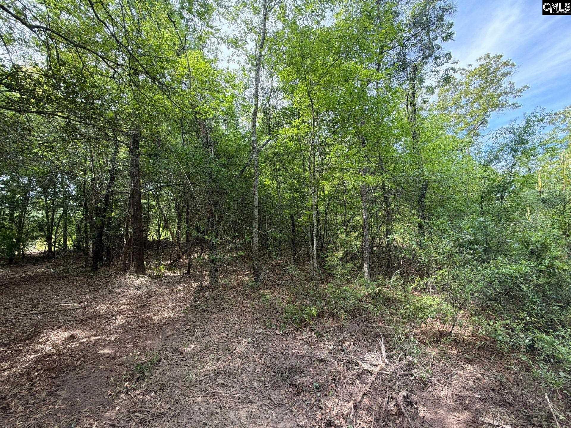 2 Rogers Cemetery Road Aiken, SC 29801 - Photo 7 of 26