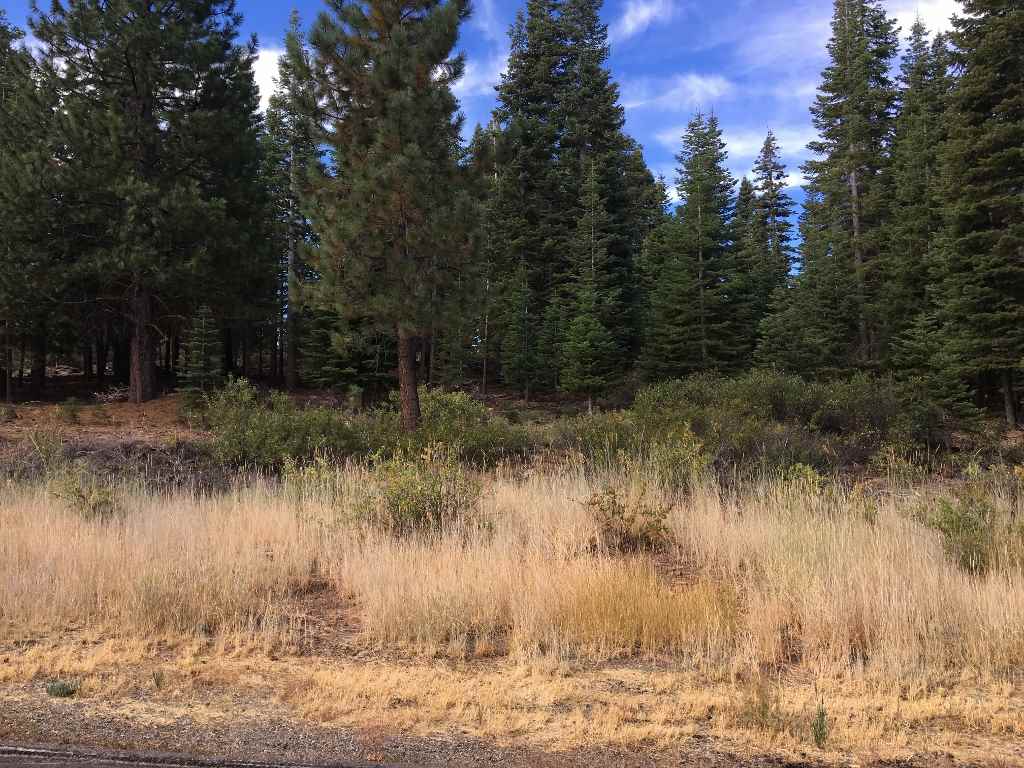 11140 Rancho View Court Truckee, CA 96161 - Photo 2 of 14 Gallery Image 2