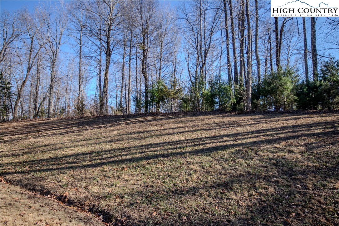 2221 Nighthawk Ridge Court Lenoir, NC 28645 - Photo 2 of 11