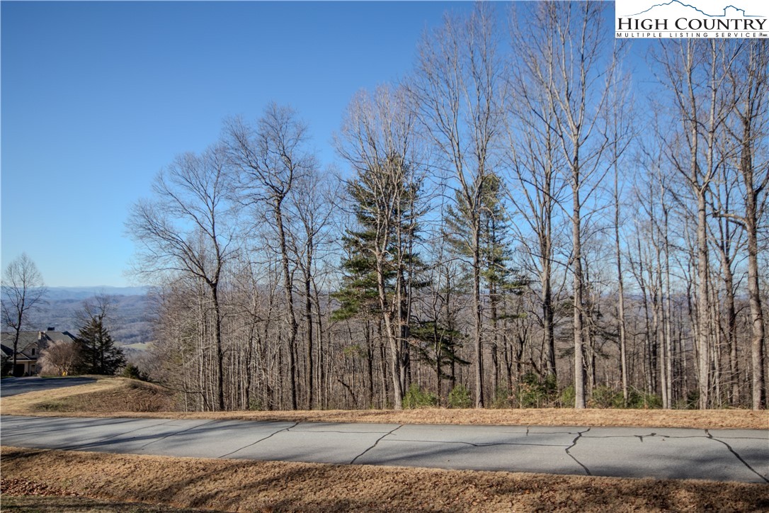 2221 Nighthawk Ridge Court Lenoir, NC 28645 - Photo 3 of 11