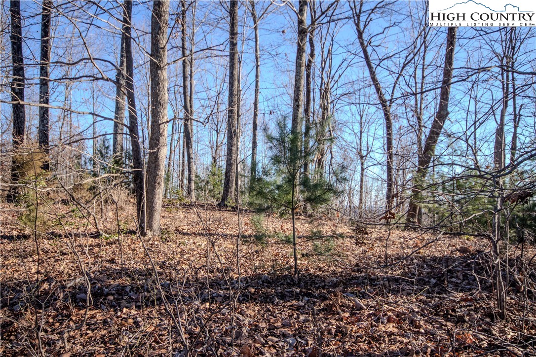 2221 Nighthawk Ridge Court Lenoir, NC 28645 - Photo 4 of 11