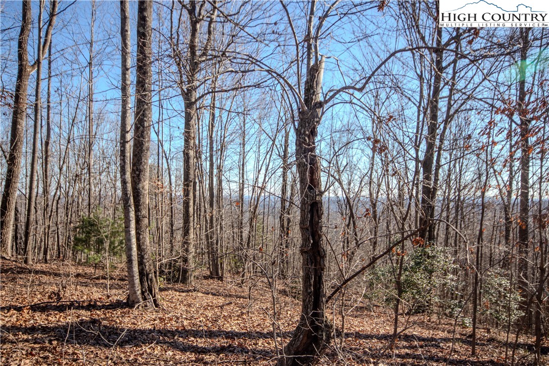 2221 Nighthawk Ridge Court Lenoir, NC 28645 - Photo 5 of 11