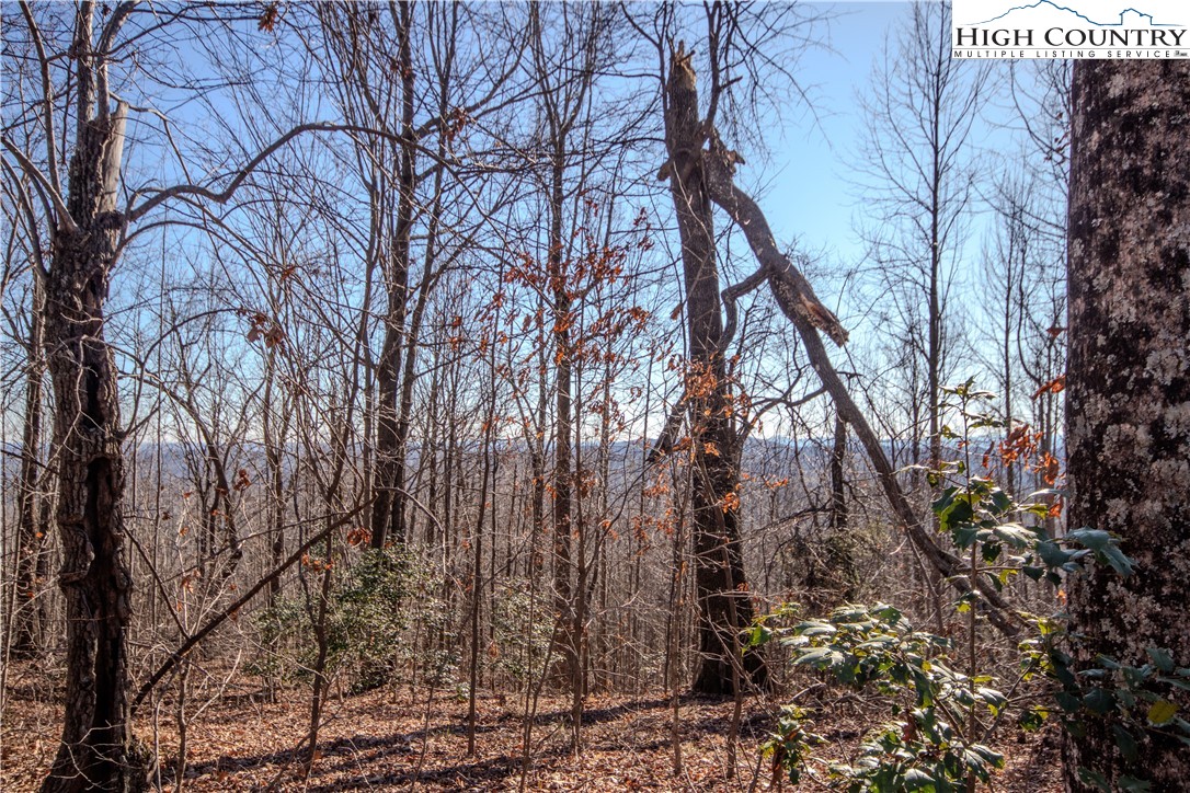 2221 Nighthawk Ridge Court Lenoir, NC 28645 - Photo 7 of 11