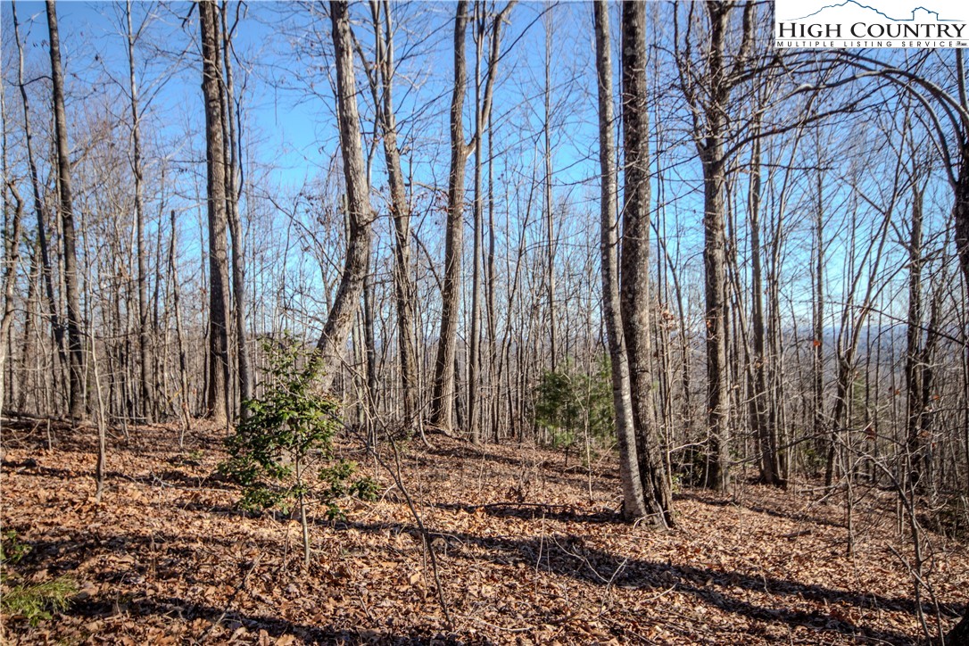 2221 Nighthawk Ridge Court Lenoir, NC 28645 - Photo 8 of 11